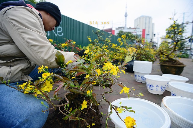 Người dân Thủ đô rộn ràng sắm Tết ảnh 11